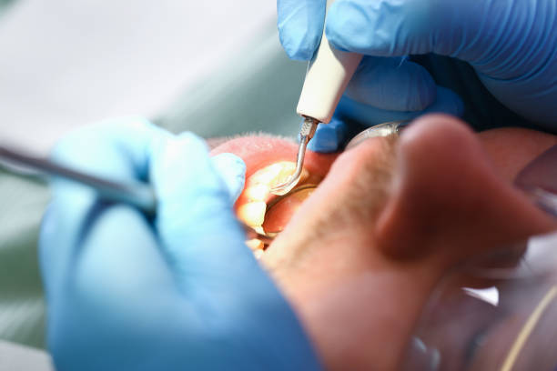 Best Emergency Gum Pain Relief  in Woodbourne, PA