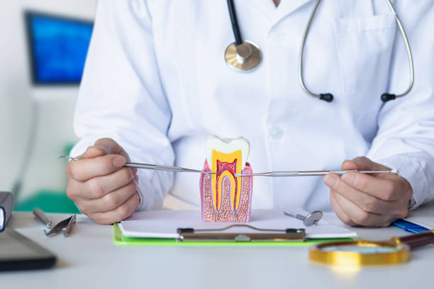 Best Tooth Infection Emergency Dentist  in Woodbourne, PA